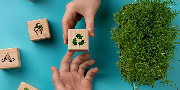Sustainability Practices